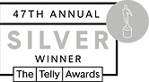 Telly_47th_badge_evergreen_silver.png
