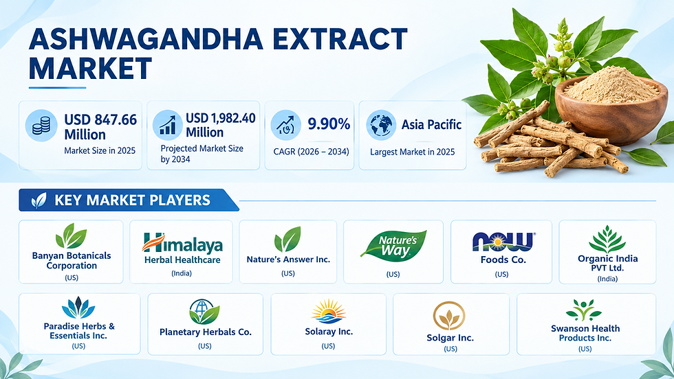 Ashwagandha Extract Market Is Growing as Consumers Embrace Natural Wellness