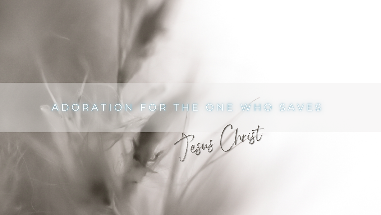 SoulFire Adoration - Website Banner & Footer.png