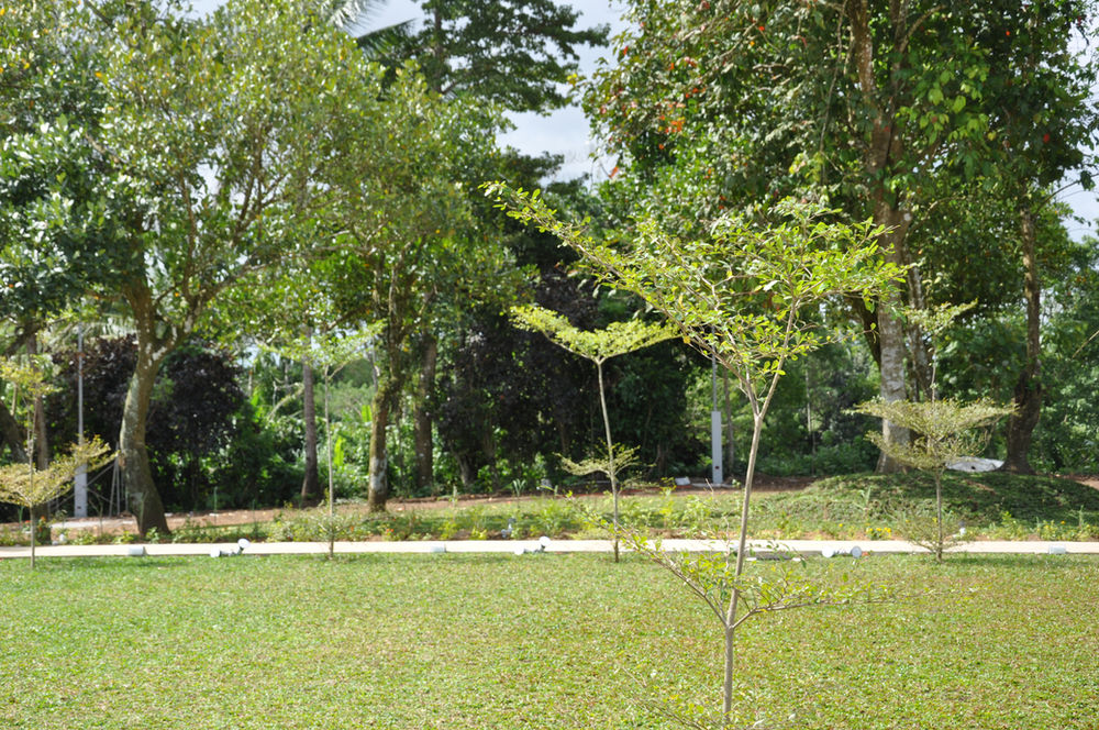 Come Visit Almond Garden