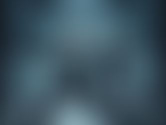 Refining the Engine: Why Chen Taijiquan Requires Working in Low Postures