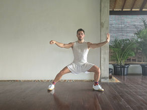 Opening the Dang: A Diagnostic Map for Single Whip