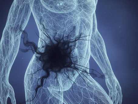 The Myofascial Void: The Architecture of Absence