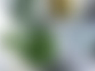 Pesto de manjericão é muito amor (e sabor). Aprenda a fazer