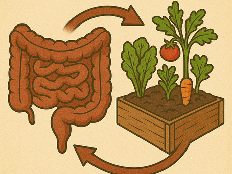 Ciência revela compostagem com microbioma humano para regeneração urbana