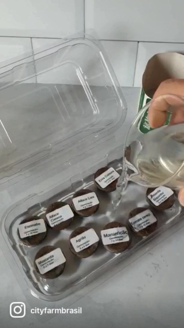 Miniatura: Kit mudas Mix de culturas  - 8 cápsulas de germinação