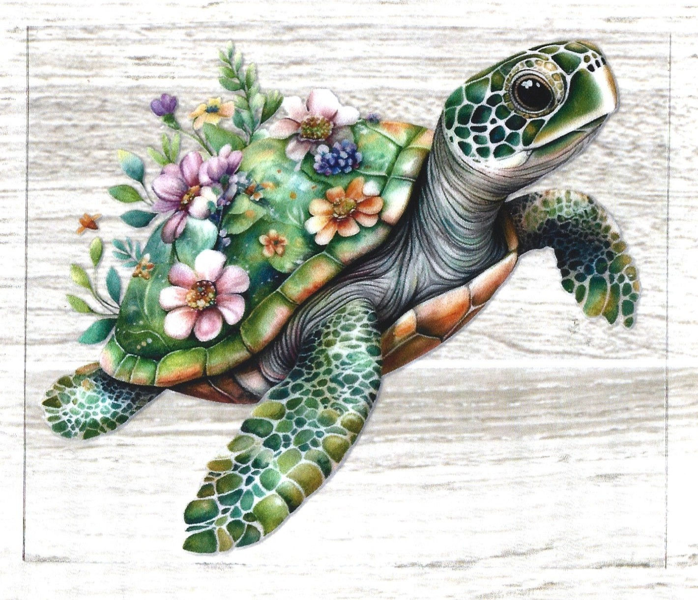 SB14 Summer & Beach Decal
