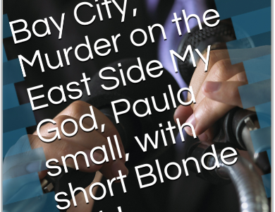 The Chronicles of Johnny Blake    Book Series