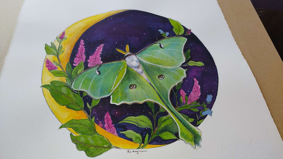 Luna Original Luna Moth Watercolor Lori Agnew Fine Art Luna Original Luna Moth Watercolor Lori Agnew Fine Art