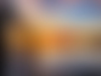 The Best Kept Secret in New Orleans? A Bayou Boat Tour