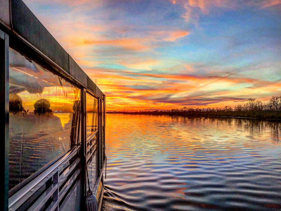 The Best Kept Secret in New Orleans? A Bayou Boat Tour