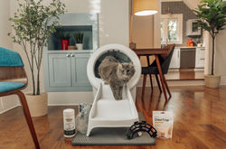 living room White clean bundle