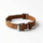 Uran's Essential Collar