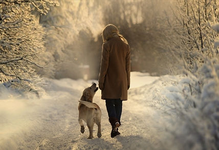 A golden doodle being hugged by his owner.