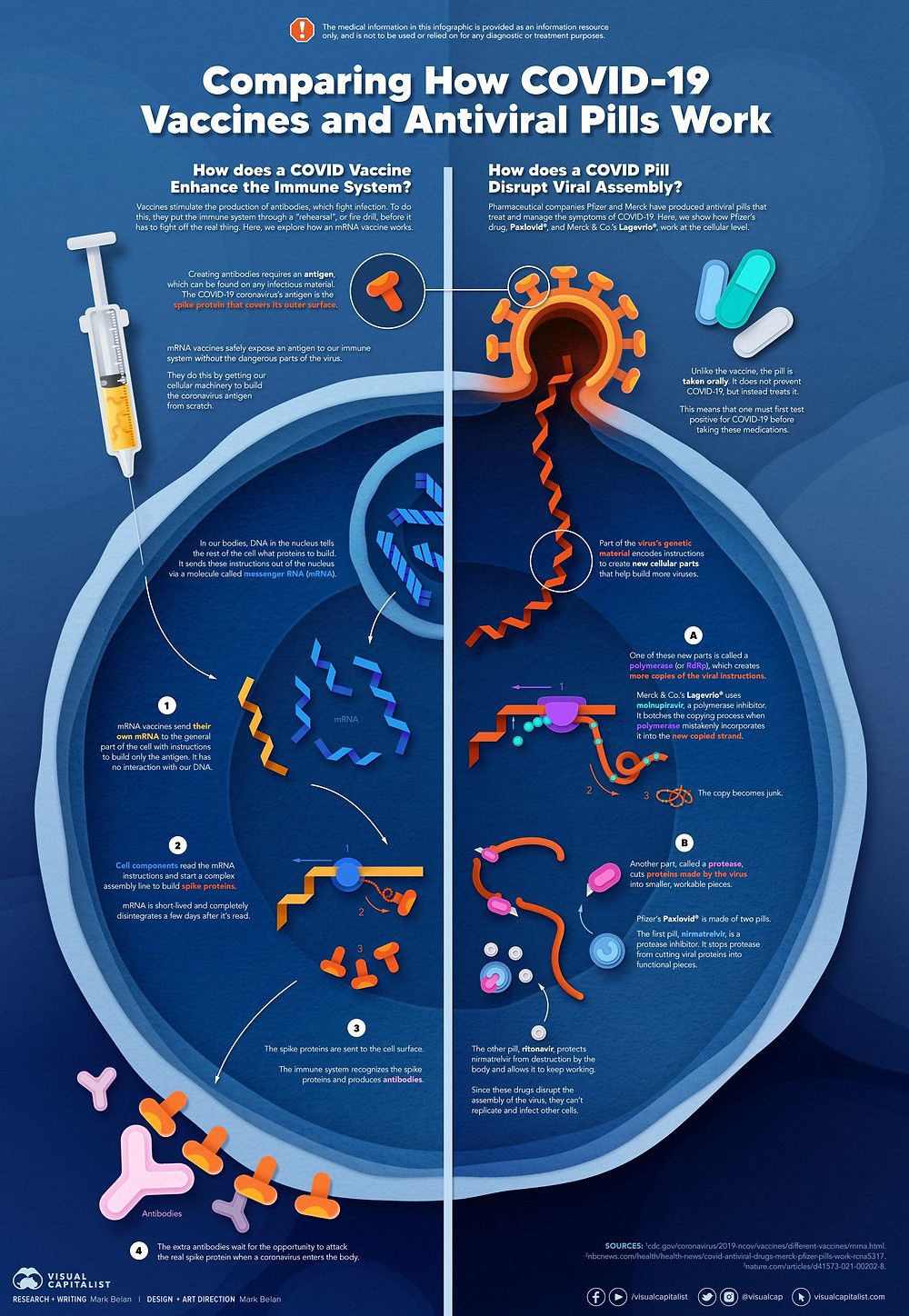 COVID-19 Mark Belan scientific infographic