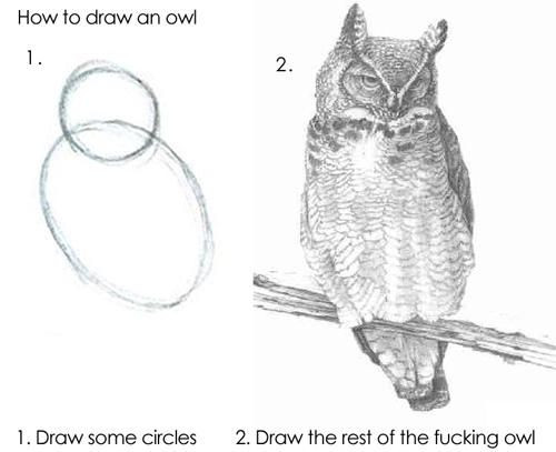 how to draw an owl meme illustration shapes