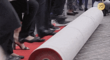 red carpet unrolling gif