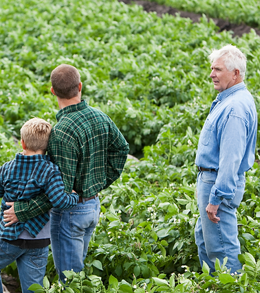 Untitled design - 2024-11-22T140141.751.png