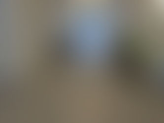 Frosted Window Films for Privacy: Stylish Solutions for Homes & Businesses 🪟✨