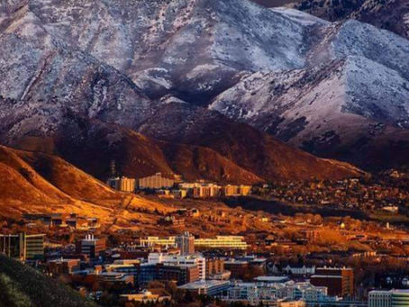 Year-Round Energy Savings: How Window Film Works in Summer & Winters