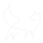 logo transparent background_edited.png
