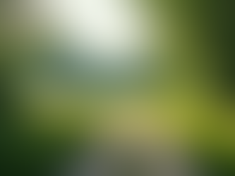 Effective SEO Strategies to Enhance Your Business Online Visibility