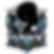 Hawk Wellness Logo.png