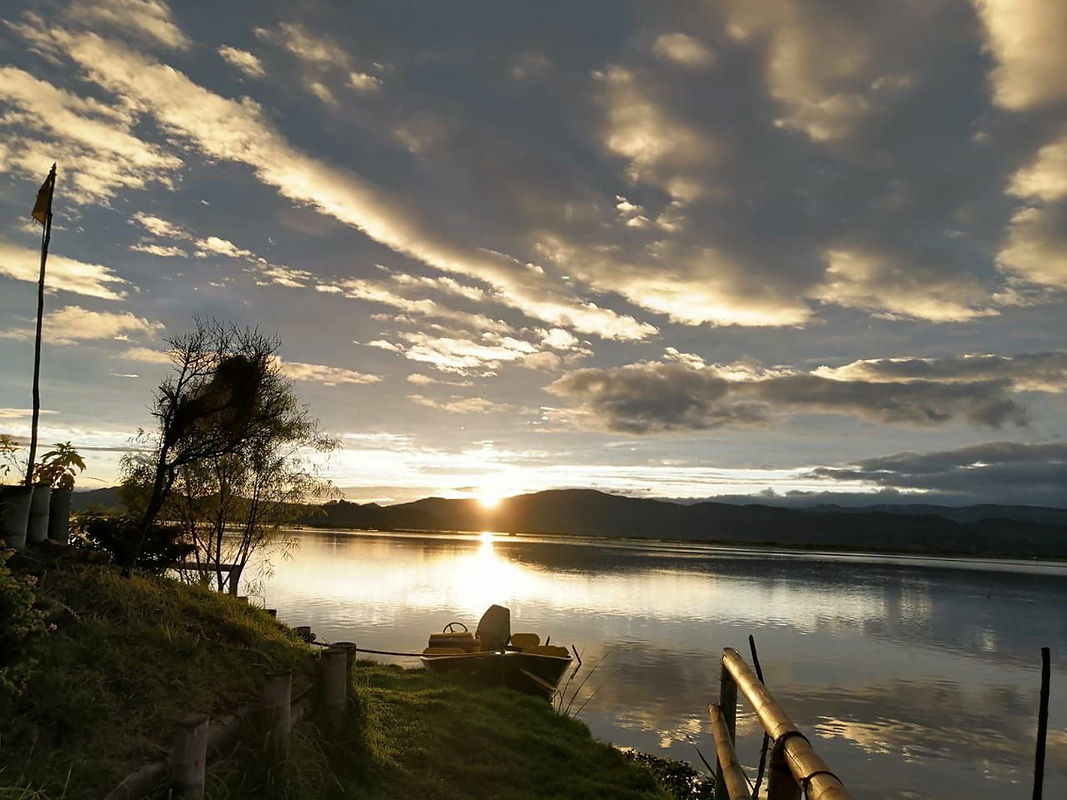 photo_2026-02-20 19.59.43.jpeg