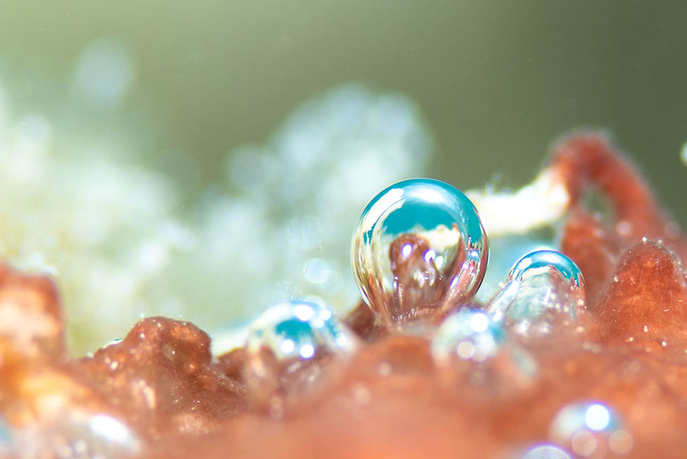 気泡