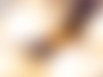 8月21日石垣島ダイビング