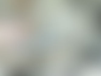 モエギハゼからホワイトソックス