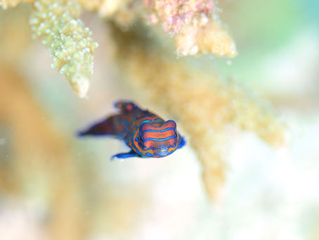 水温はまだ29度あるでぇ