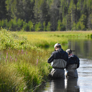 Field Study and Research