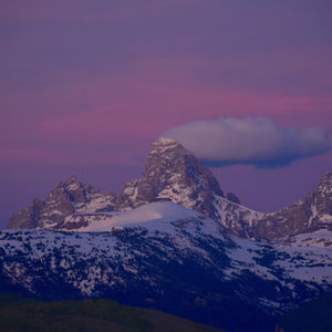 Landscape and Nature