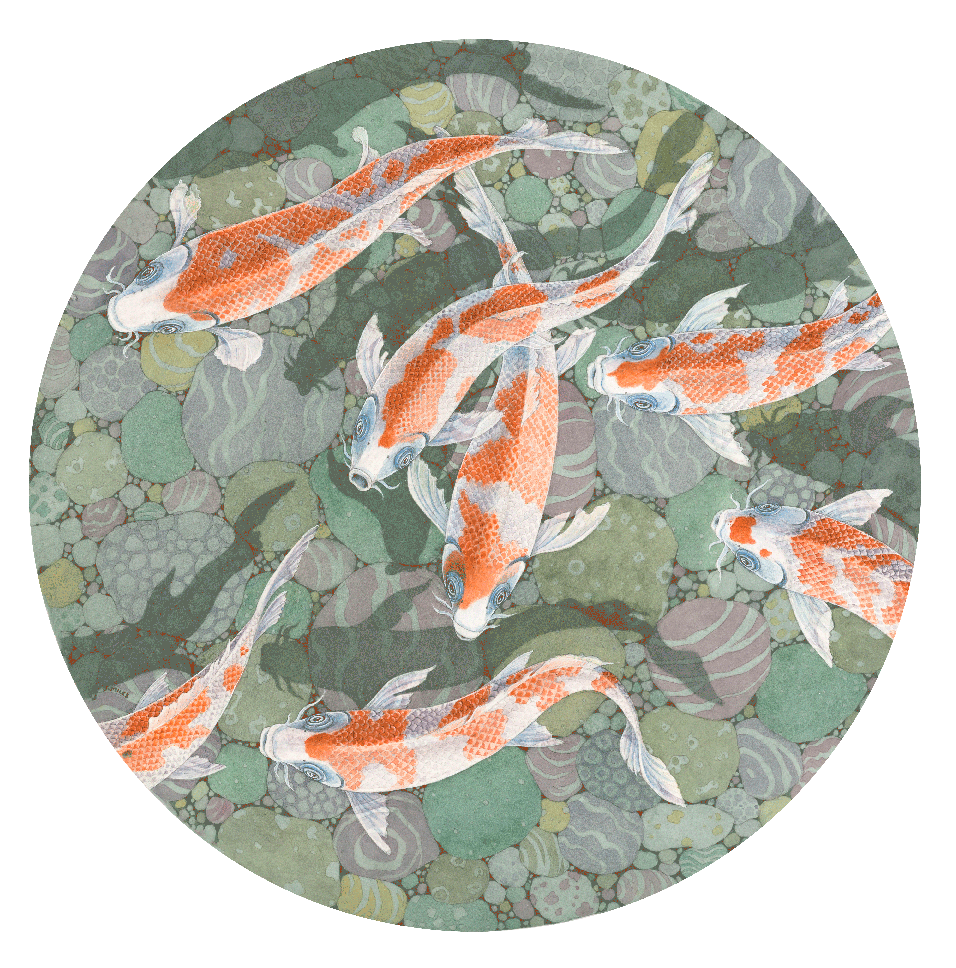 koi.gif