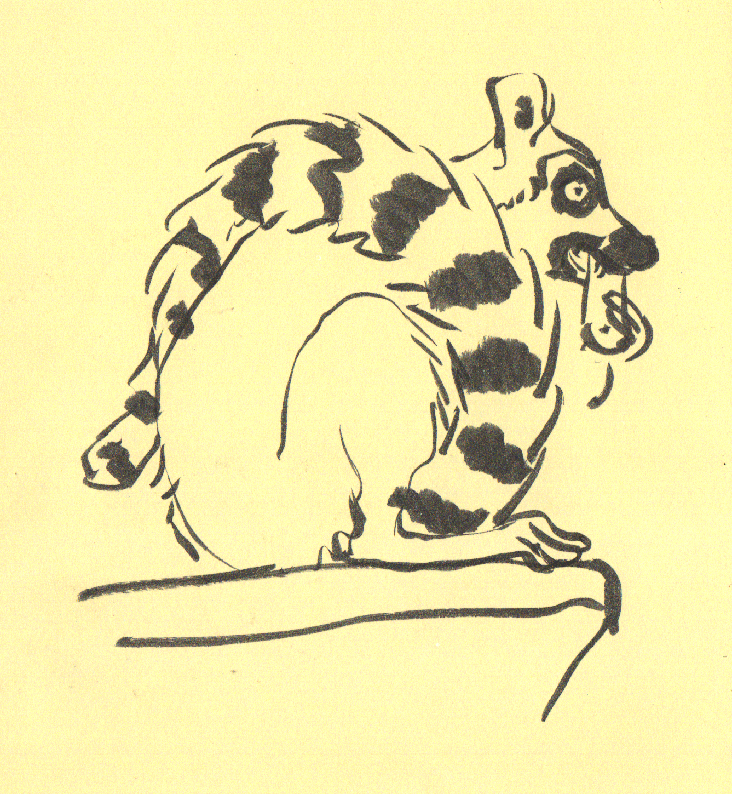lemur-6.gif