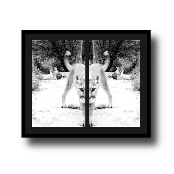 WATCH OUT - Digital - 100x90cm - Float Mount Framed - Perla paper