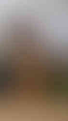 Manila Zoo, Philippines - Outdoor Activities for Kids - MOMspired Tribe