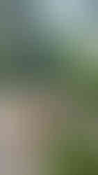 Manila Zoo, Philippines - Outdoor Activities for Kids - MOMspired Tribe