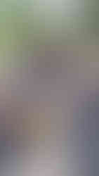 Manila Zoo, Philippines - Outdoor Activities for Kids - MOMspired Tribe