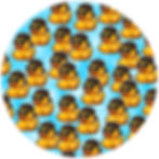 290 Cool Ducks