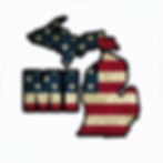 M17 USA MI