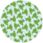 477 Turtles & Frogs