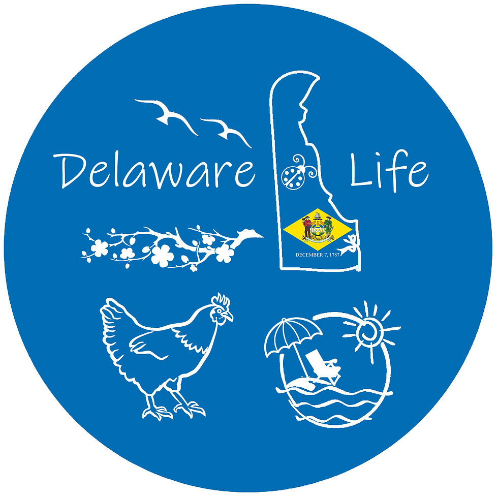 LLDE Delaware Life