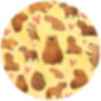 490 Capybara
