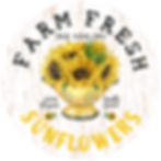 AL4795 Fresh Sunflowers