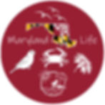 LLMD Maryland Life