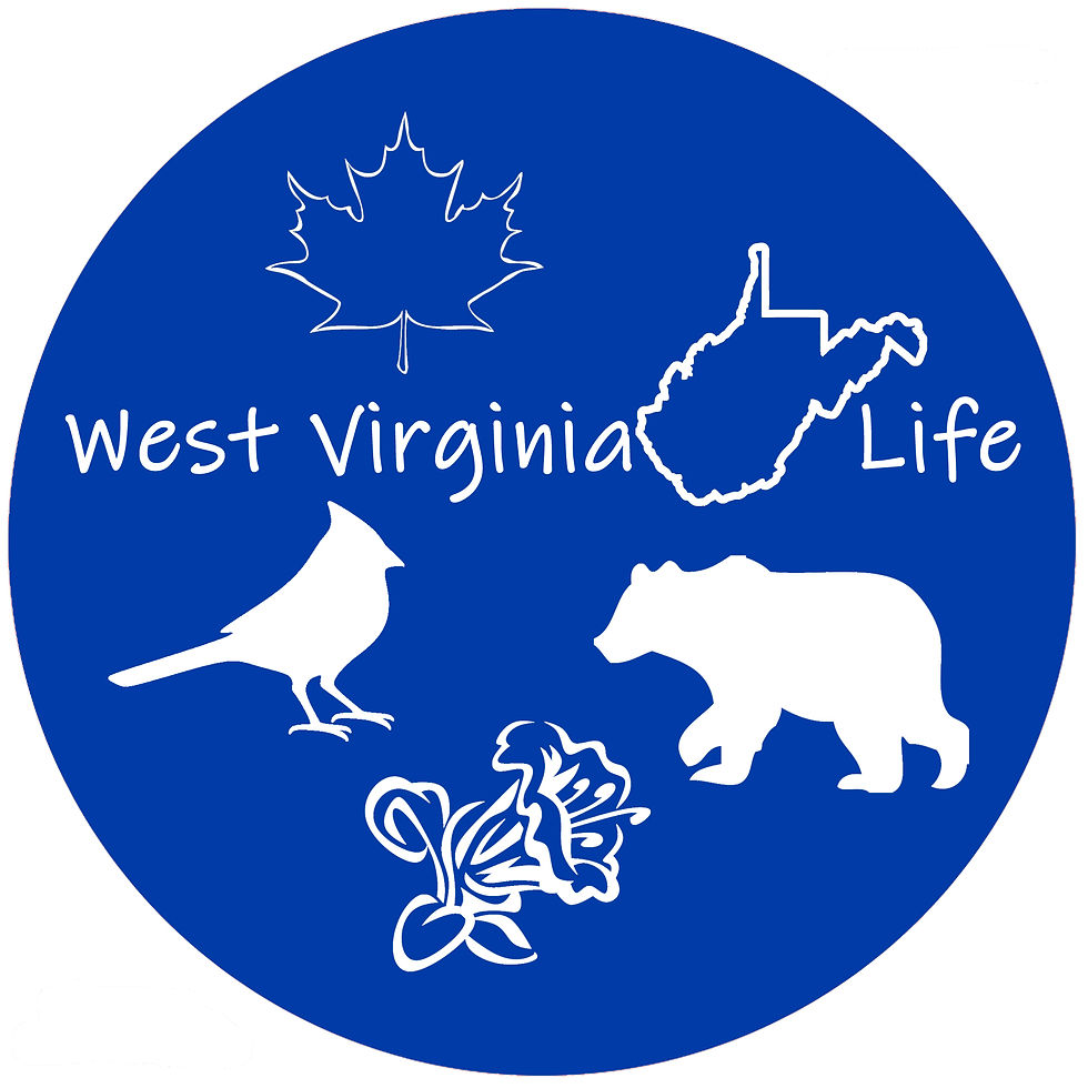 LLWV West Virginia Life