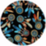 410 Dreamcatchers