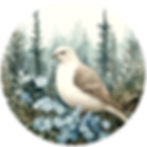 551 AK Bird Flower